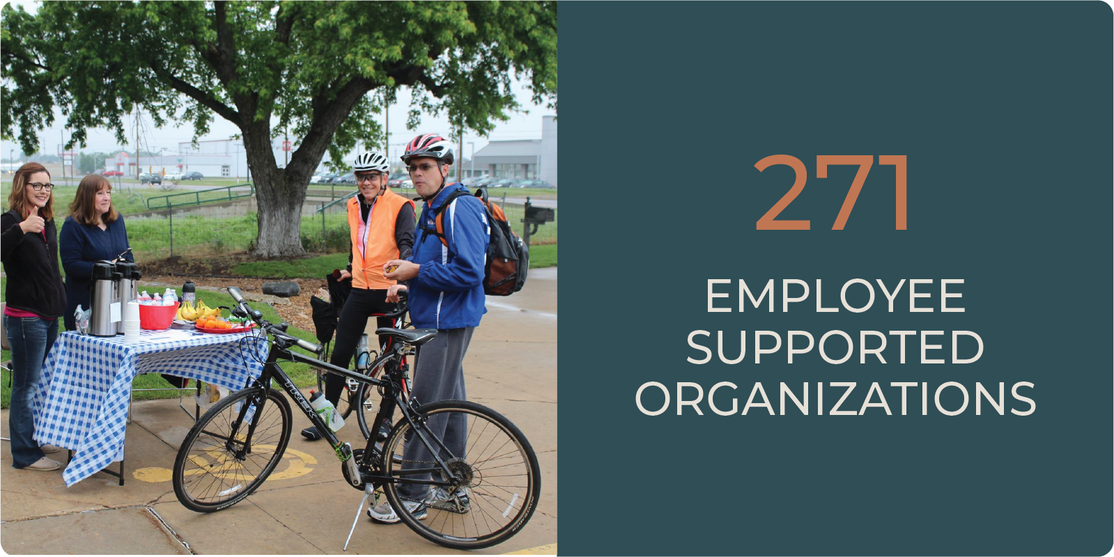 271 - Employee supported organizations